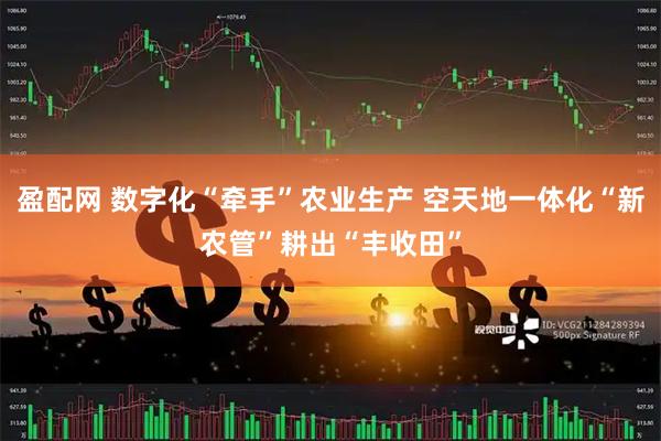 盈配网 数字化“牵手”农业生产 空天地一体化“新农管”耕出“丰收田”