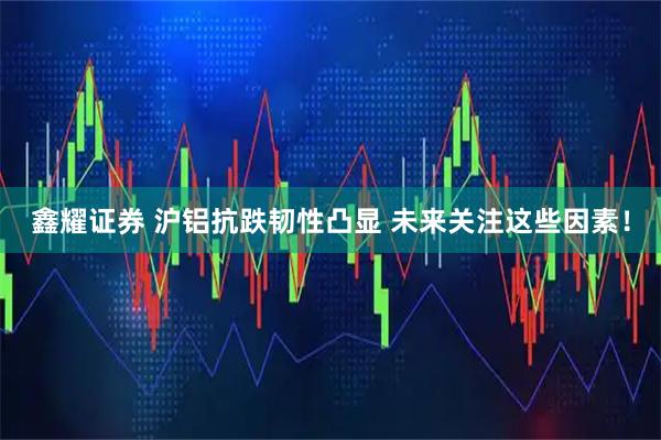 鑫耀证券 沪铝抗跌韧性凸显 未来关注这些因素！