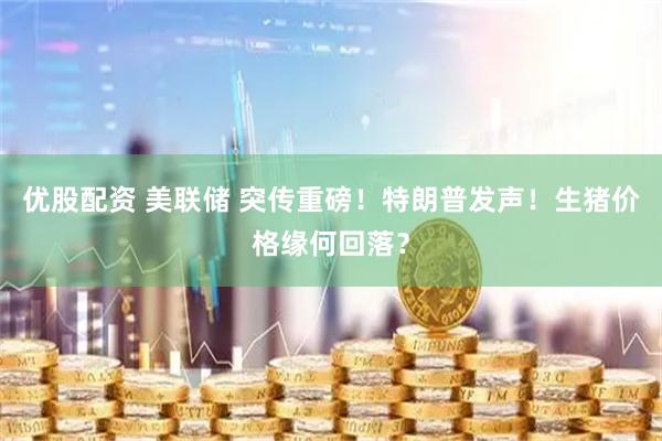 优股配资 美联储 突传重磅！特朗普发声！生猪价格缘何回落？