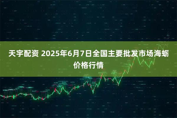 天宇配资 2025年6月7日全国主要批发市场海蛎价格行情