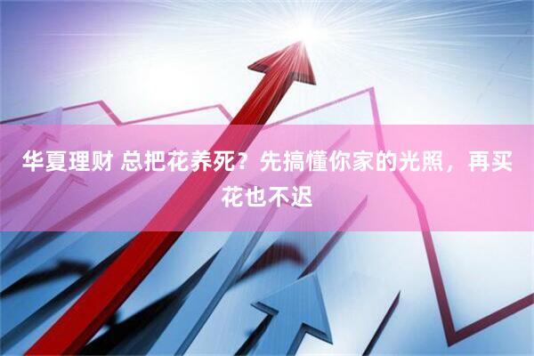 华夏理财 总把花养死？先搞懂你家的光照，再买花也不迟