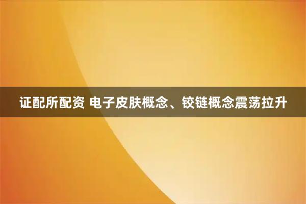 证配所配资 电子皮肤概念、铰链概念震荡拉升