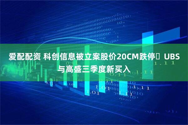 爱配配资 科创信息被立案股价20CM跌停 UBS与高盛三季度新买入