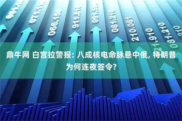 鼎牛网 白宫拉警报: 八成核电命脉悬中俄, 特朗普为何连夜签令?