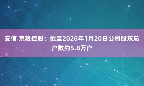 安信 京粮控股：截至2026年1月20日公司股东总户数约5.8万户
