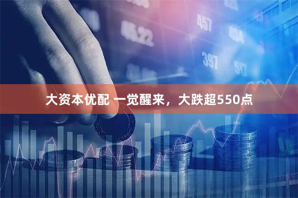 大资本优配 一觉醒来，大跌超550点