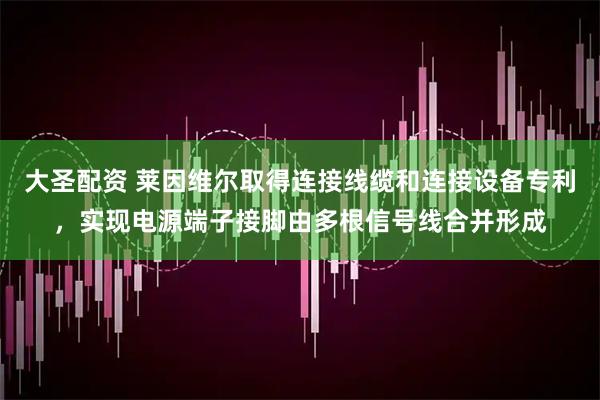 大圣配资 莱因维尔取得连接线缆和连接设备专利，实现电源端子接脚由多根信号线合并形成